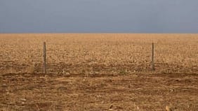 A DESTRUIÇÃO DA GRANDE SAVANA DO BRASIL