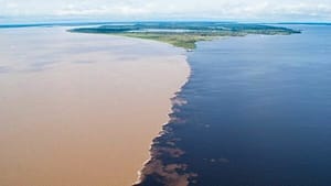 RIO NEGRO (DA AMAZÔNIA)