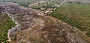 RESTAURAÇÃO DO CERRADO: É PRECISO SONHAR ACORDADO