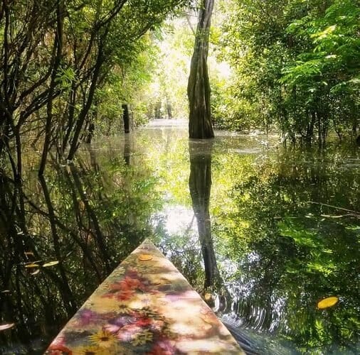 UMA FLORESTA DENSA DE OPORTUNIDADES